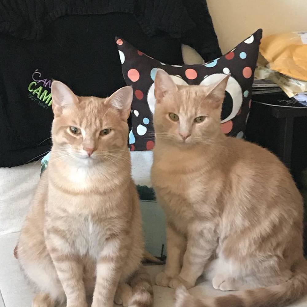 Meet your Posher, Tina